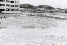 공설운동장 주변 [울산사진DB] 공설운동장 주변