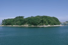 목도상록수림 [울산사진DB] 목도상록수림