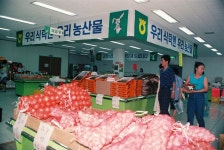 농협 우리농산물 판매장 [울산사진DB] 농협 우리농산물 판매장