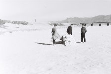 울산 제2교 공사 진척 모습 [울산사진DB] 울산 제2교 공사 진척 모습