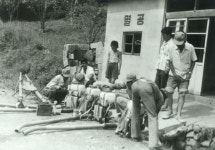 4-H 병해충방제 [울산사진DB] 4-H 병해충방제