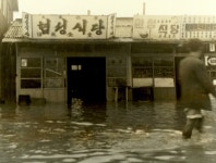 한일여객 울산영업소앞 침수 피해모습 [울산사진DB] 한일여객 울산영업소앞 침수 피해모습
