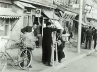 시내가로수 겨울나기 [울산사진DB] 시내가로수 겨울나기