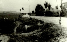 국도 7호선 송정앞 현 울산공항앞 [울산사진DB] 국도 7호선 송정앞 현 울산공항앞