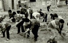 관내 각 학교 아동 조기청소 [울산사진DB] 관내 각 학교 아동 조기청소
