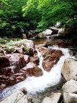 대운산 계곡 [울산사진DB] 대운산 계곡