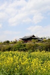 태화루 주변시가지 [울산사진DB] 태화루 주변시가지
