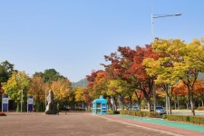 울산체육공원의 가을 [울산사진DB] 울산체육공원의 가을