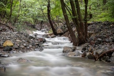 고헌산 계곡 [울산사진DB] 고헌산 계곡