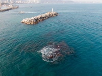 곽암 [울산사진DB] 곽암