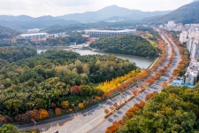 문수체육공원의 가을 [울산사진DB] 문수체육공원의 가을