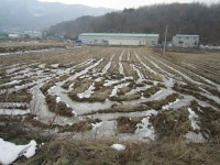 성내리 토지(답)경매/아산시 영인면 성내리 359 /2016타경10970 여의주경매 김대표 블로그