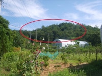  여의주경매 김대표 블로그