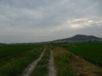  여의주경매 김대표 블로그