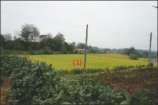 ♡당진시 토지(전)경매/충남당진시경매>충남 당진시 송악읍 봉교리 374-2 경매 정보/ 2016타경9396 여의주경매 김대표 블로그