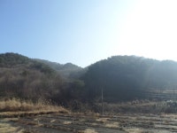  여의주경매 김대표 블로그