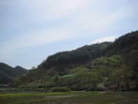 ♡진주시 토지(임야)경매/경남진주시경매>경남 진주시 내동면 삼계리 327-1 경매 정보/ 2016타경2214 여의주경매 김대표 블로그