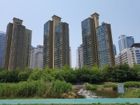 ♡성남시 근린상가경매/경기도성남시경매>경기도 성남시 분당구 정자동 169-1 경매 정보/ 2017타경7721 여의주경매 김대표 블로그