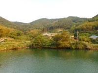 ♡거제시 토지(답)경매/경남거제시경매>경남 거제시 하청면 하청리 209 경매 정보/ 2017타경3675 여의주경매 김대표 블로그