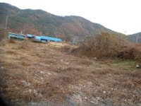  여의주경매 김대표 블로그