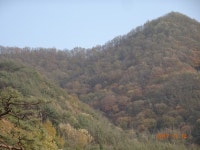 [전남 화순군토지(답)경매] 화순군 동복면 유천리 336 # 2017타경67507 #  여의주경매 김대표 블로그