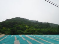 [전남 완도군토지(전)경매] 완도군 금당면 육산리 805-1 # 2017타경1622 #  여의주경매 김대표 블로그