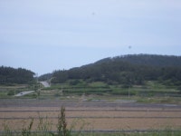 신양리 토지(임야)경매/완도군 노화읍 신양리 산209-6 /2017타경1349 여의주경매 김대표 블로그