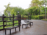 기글 하드웨어 사진 게시판 - 비 오는 날 공원산책