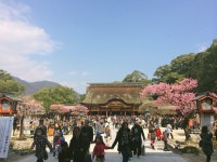 외방커뮤니티 > 여행/해외 > 20140304-06 2박3일 후쿠오카 여행 有(스압쩔/BGM有)