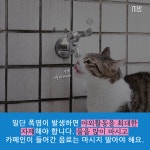 서울특별시 미디어재단 TBS