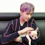 #62592936 | 라비_빅스 | 아이돌 팬덤 순위 최애돌