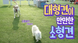 #38775791 | 수호_EXO | 아이돌 팬덤 순위 최애돌