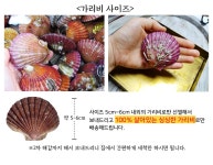 ::  나눔이 있는 쇼핑몰 85pro :: 통영 홍가리비 산지직송 (3KG)
