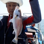 (西)서해조황 - 6월23일 홍원마량항 정우레져 백조기 탐사조황