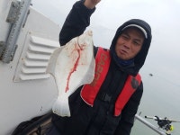 (西)서해조황 - 목포도다리낚시4/14일조황[목화피싱]감성돔낚시문의