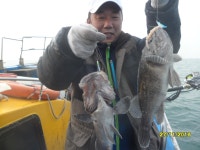 (西)서해조황 - 11/27일 홍원 오케이 낚시 골드피싱 우럭 왕 대박 조항