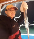 (南)남해조황 - 목포갈치낚시 VIP낚시 굵은갈치 참손맛!