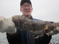 인천권조황 - 5월 19일  수양호 출조사진이예요 인천권조황 - 5월 19일 수양호 출조사진이예요