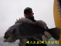 인천권조황 - 12월30일 베스트호(연안부두) 우럭~조황!!