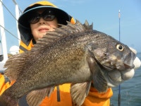 인천권조황 - 8월16-17일 인천 남항 연안유선 조황