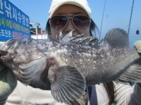 인천권조황 - 6월17일 맞춤형낚시전문 수양호 조황사진입니다~시원하게 보세요^^*
