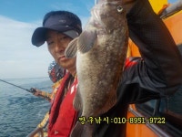 인천권조황 - 8월19일 영흥도짱구피싱 먼바다외수질 출조조항(씨알굿조항)