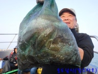 인천권조황 - 10월15일.남항(킹스타호) 갑이와 주꾸미 조황~~