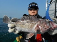 인천권조황 - 10월 18일 인천 연안유선 경원7호 조황보고