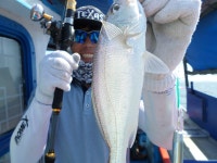 경기권조황 - 8월11일오이도유성호 오후배6명조황