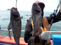 경기권조황 - 5월20일오이도유성호