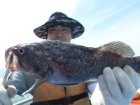 경기권조황 - 5월20일오이도유성호