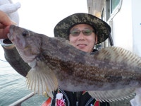 경기권조황 - 5월20일오이도유성호