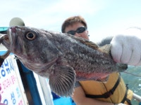 경기권조황 - 5월20일오이도유성호