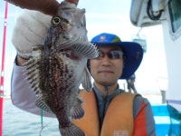 경기권조황 - 5월20일오이도유성호